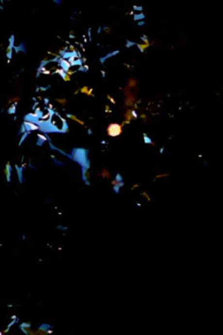 The film explores themes of existence, decline, and renewal, contrasting the mundane with the vastness of the universe. It uses cinematic and photographic techniques to observe these states of being, highlighting the restorative power of light and its impact on the world around us.